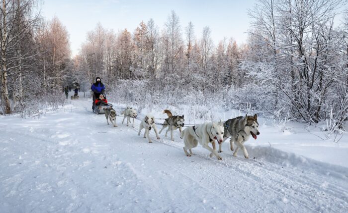 HUSKY2new